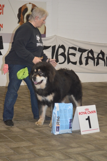 2014-11-16 11.41.36 (426x640).jpg