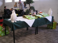 Sfeer 09.JPG