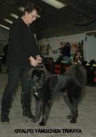 04 2012-12-02 041.JPG