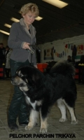 09 2012-12-02 094.JPG