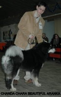 11 2012-12-02 125.JPG