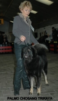 12 2012-12-02 147.JPG