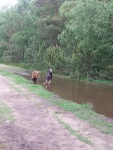 20160529_120950.jpg