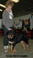 15 2012-12-02 170.JPG