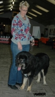 19 2012-12-02 231.JPG