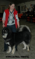 20 2012-12-02 234.JPG