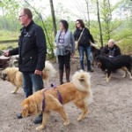 Wandeling 04.jpg
