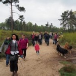 Wandeling 05.jpg