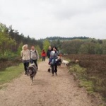 Wandeling 08.jpg