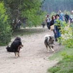 Wandeling 10.jpg