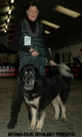 21 2012-12-02 258.JPG