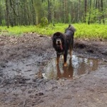 Wandeling 11.jpg