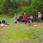 Wandeling 13.jpg