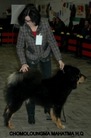 22 2012-12-02 260.JPG