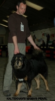 23 2012-12-02 266.JPG