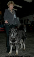 24 2012-12-02 298.JPG