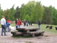 Het Leesten 2013_02