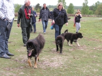 Het Leesten 2013_05