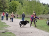 wandeling-109-300x225.jpg