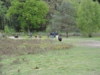 wandeling-110-300x225.jpg