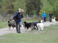 wandeling-112-300x225.jpg