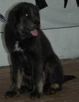 05.jpg