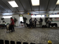 Sfeer 06.JPG